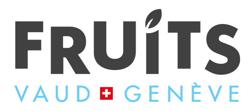 Logo Alphafoto